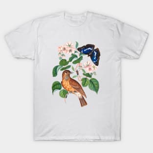 Spotted flycatcher and eggs, bramble and Purple Emperor and longhorned beetle T-Shirt